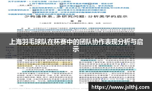 上海羽毛球队在杯赛中的团队协作表现分析与启示
